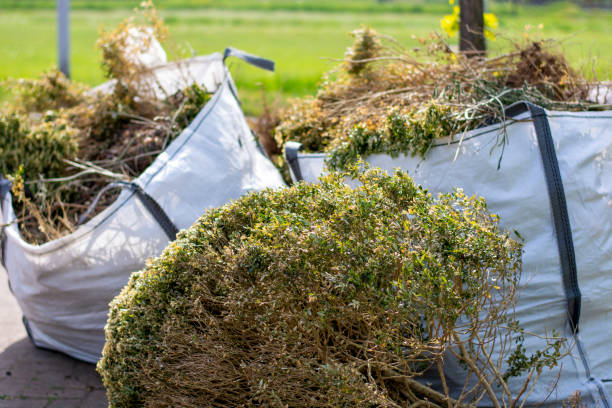 Best Commercial Junk Removal  in Livonia, MI